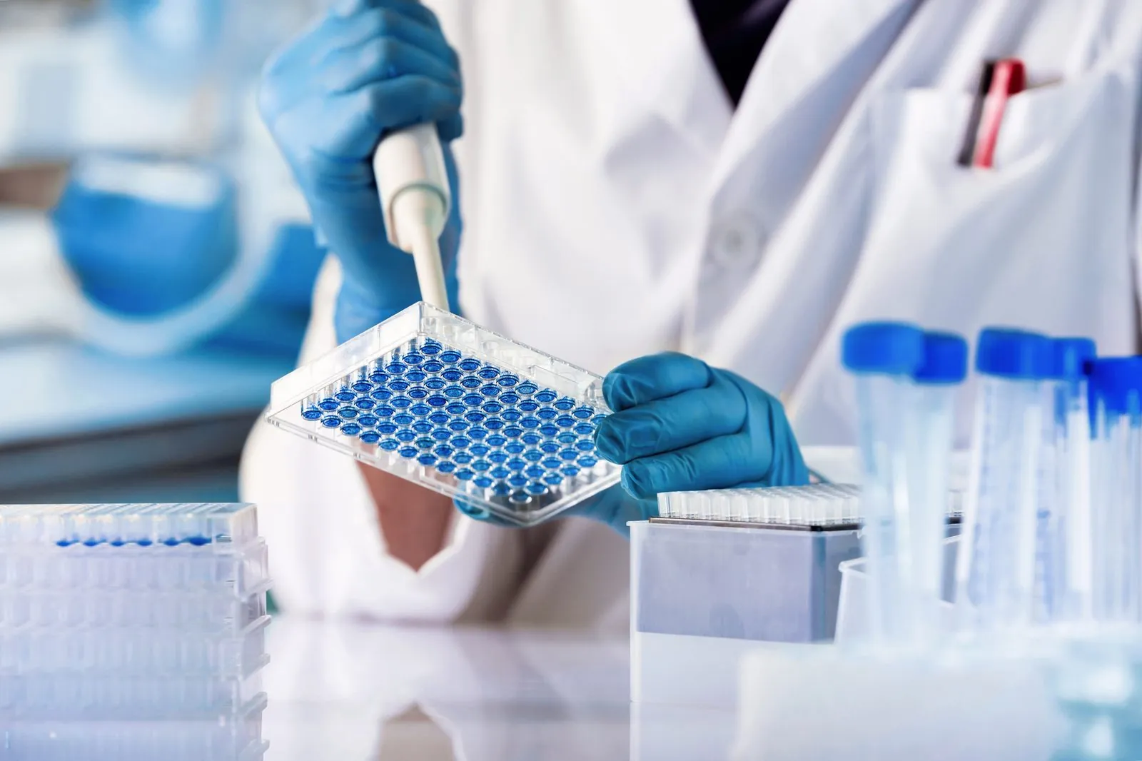 Laboratory scientist pipetting samples into a microplate for agricultural and industrial biotechnology testing